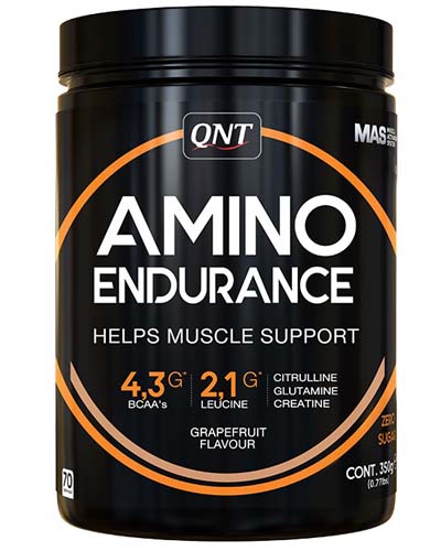 Amino Endurance 350 гр (QNT) Amino Endurance 350 гр (QNT)