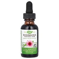 Echinacea (Эхинацея на 99,9% без спирта) 30 мл (Nature's Way) срок до 09/25